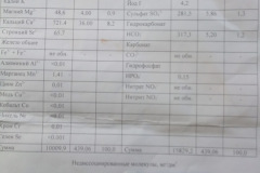 Горячие источники "Цунами" села Воронежское