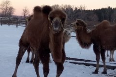 Горячие источники "Березовка" в Заводоуковске Тюменской области