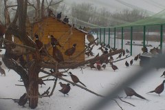 Горячие источники "Березовка" в Заводоуковске Тюменской области
